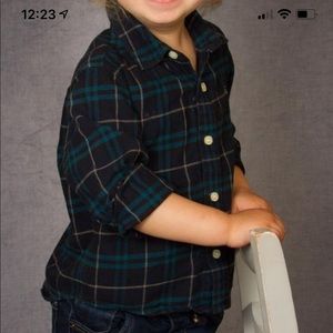 Burberry Toddler Button up